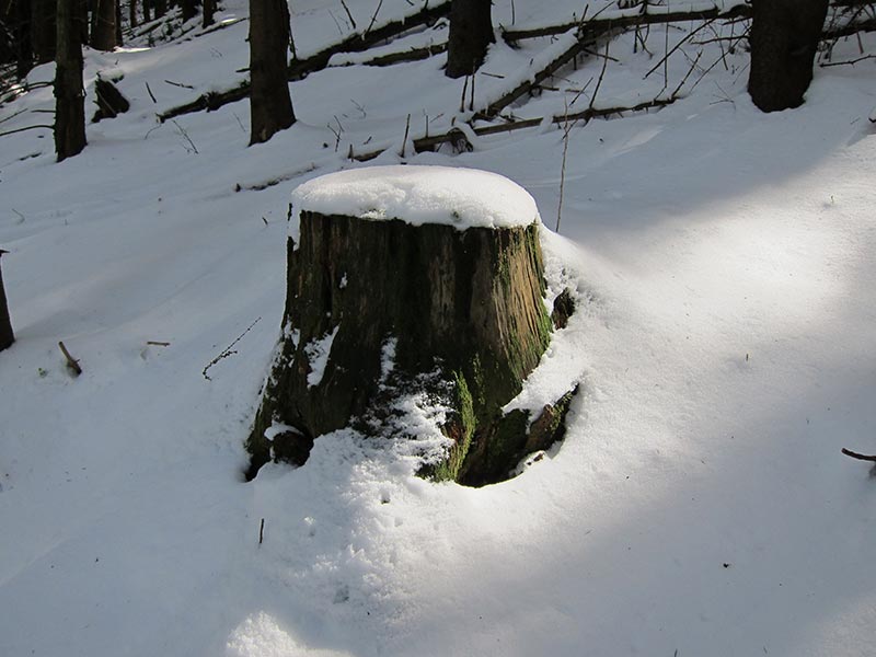 spitzkogel